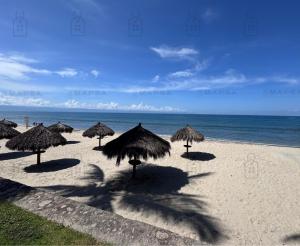 Conchas 502, Nuevo Vallarta