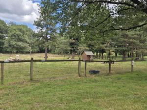 Mobile home 3ch 6 personnes