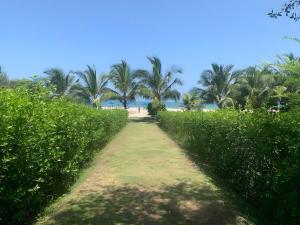 Condominio frente al mar con acceso directo a la playa Morros IO