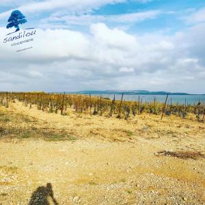 Maisons de vacances *Mobilhome «Vacances a la mer » *Mobilhome 4 personnes * Climatise : photos des chambres