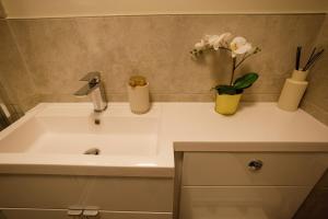 Luxury Apartment in Reading