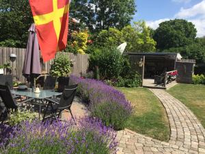 Fingal 9 studio apartments