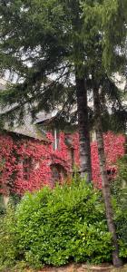 Maisons de vacances Moulin Grand, entire accommodation, 2br park river : photos des chambres