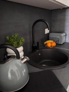 Karmen 2 modern apartment on the beach