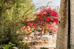 Accogliente e romantico appartamento a pochi passi dal centro img15