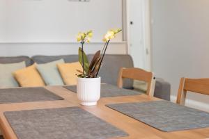 Lovely Haymarket Apartment - Central Edinburgh