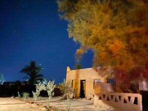 La Maison-Berbère Mhamid Desert Tours