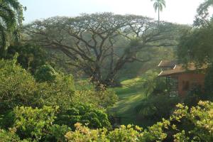 Luxury Apartment close to centre of Jarabacoa