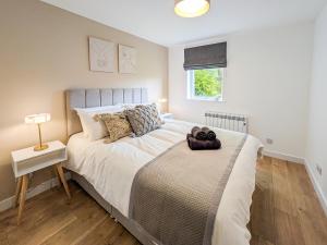 Highland Cow Apartment