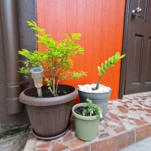 Casa-cabaña Jefe Indio Playa Cacique