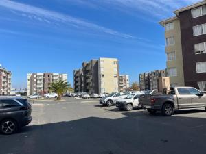 STAYOK CURICO 401 RAUQUEn
