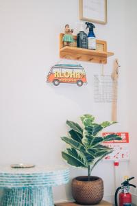 Kokoni Migo Villa 全新登場