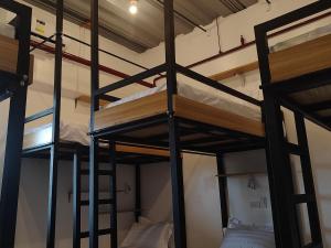 X-Crib Hostel