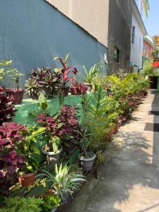 Happy Home Guest House