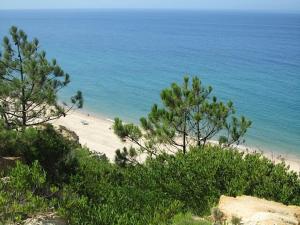 Charming pied-à-terre in Rossio