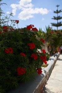 THIRAMNIA KaGa kythnosuites