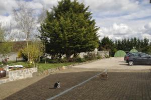 B&B / Chambres d'hotes Les rouches : photos des chambres