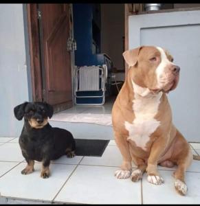 Cidreira-Salinas Casinha