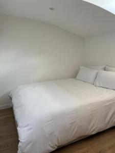 Le perchoir toulousain