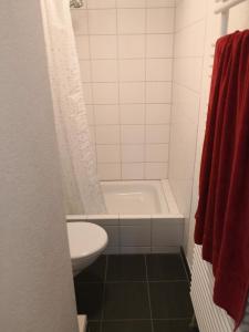 Ruhige Wohnung zum Wohlfühlen Song Contest Room Basel