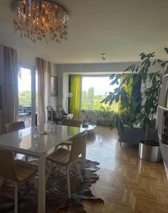 Albi Apartment