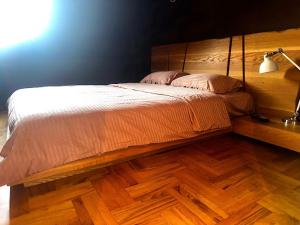 Albi Apartment