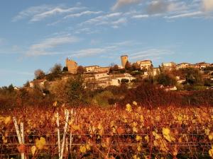 Appartements Gite de l'Oursonniere : Chalet