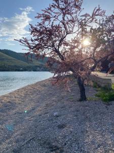 Mobilna kućica Neda - Grebaštica, kamp Vala