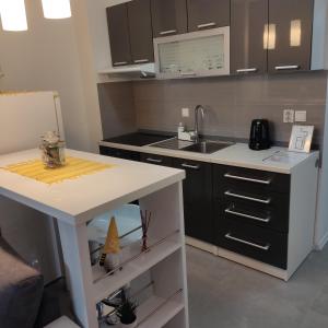 Studio apartman Laura