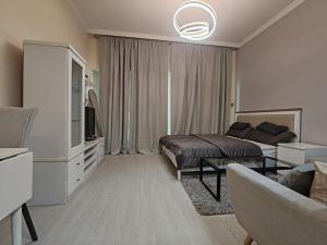 Burj Al Nujoom Luxurious Apartment Downtown Dubai Mall