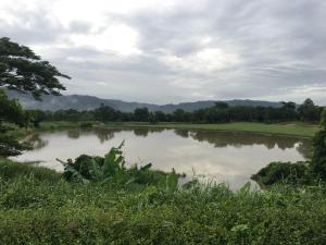 The Midst by The M - Nakhon Nayok TMD4