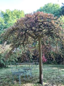 La Villa Saint Ghislain