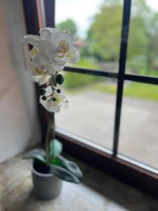 Suite 3 SZ - Lichtenberg