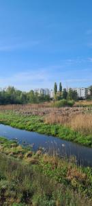 Mieszkanie nad Iławką - 2 pokoje, kuchnia, łazienka, balkon, parking, wi-fi