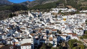 Country Sun Apartments