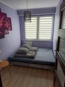 Mieszkanko u Anki Toruń, blisko starówki