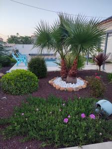 B&B / Chambres d'hotes Chez Brigitte Chambre d hotes avec cour privative,piscine, : photos des chambres