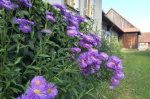 Holiday Home Stará Breza