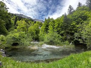 Appartements Mont Blanc view on a 40m2 Terrace : photos des chambres