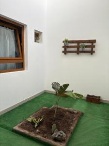 Habitación en Vecindario