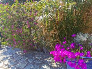 Maisons de vacances U Casetta : photos des chambres