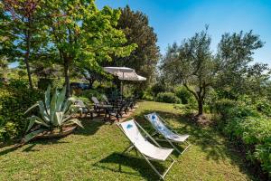 Il Grappolo E La Rosa