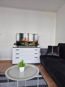 Appartements Appartement coeur de ville : photos des chambres