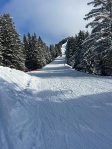 Snow Roc Mountain View