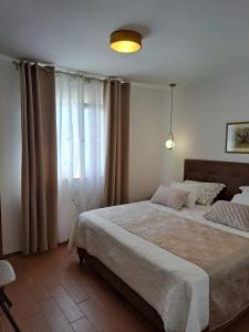 New apartments with an amazing pool