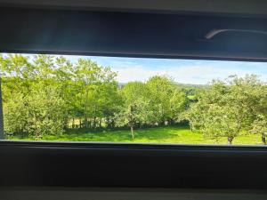 Chalets Tiny House Le Petit Nid du Pre : photos des chambres