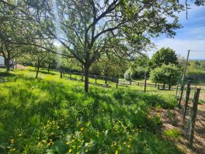 Chalets Tiny House Le Petit Nid du Pre : photos des chambres