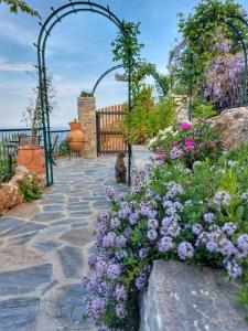 To giataki tou pappou