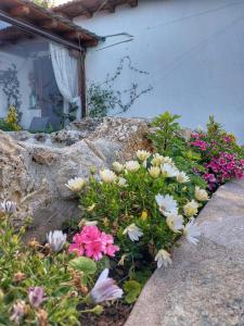 To giataki tou pappou