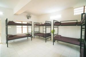 Aare waterfalls homestay